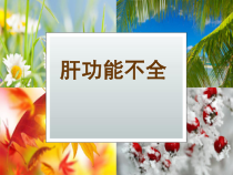 医学课件-急性肝功能不全教学课件
