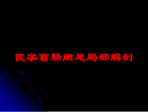 医学盲肠阑尾局部解剖培训课件