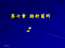 医学微生物学第7章-肠道杆菌课件