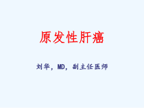 原发性肝癌医学课件