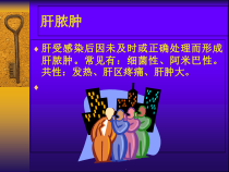 优质医学肝脓肿和原发性肝癌教学课件