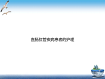 直肠肛管疾病患者的护理示范课件