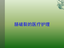 肠破裂的医疗护理培训课件