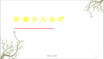 肝癌介入治疗课件