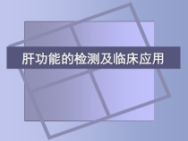 肝功能的检测及临床应用医学课件