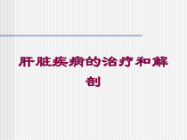 肝脏疾病的治疗和解剖培训课件