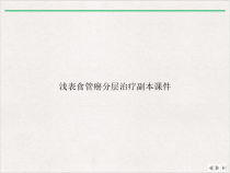浅表食管癌分层治疗副本课件完整版