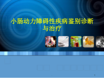 小肠动力障碍性疾病鉴别诊断与治疗课件