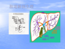 医学课件胆结石专题宣讲