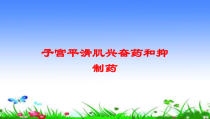 子宫平滑肌兴奋药和抑制药培训课件