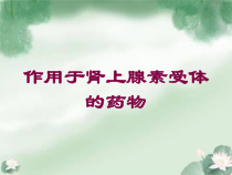 作用于肾上腺素受体的药物培训课件