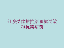 组胺受体拮抗剂和抗过敏和抗溃疡药培训课件