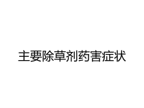 主要除草剂药害症状课件
