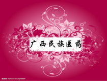 壮药概况心得课件
