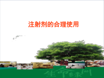 注射剂的合理使用课件