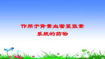 作用于肾素血管紧张素系统的药物培训课件