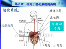 作用于消化系统药第八章课件