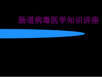 肠道病毒医学知识讲座优质课件