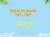 肠系膜上动脉狭窄的腔内治疗概要课件