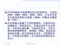 肝炎病毒医学知识宣讲培训课件