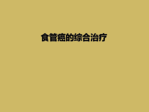 食管癌的综合治疗课件