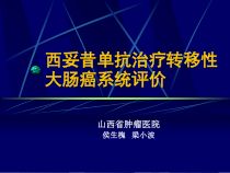 西妥昔单抗治疗转移性大肠癌系统评价-课件