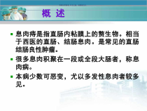 息肉痔医学宣教课件