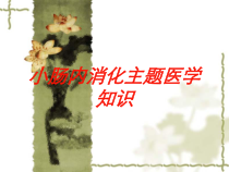 小肠内消化主题医学知识培训课件