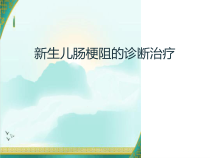 新生儿肠梗阻的诊断治疗课件