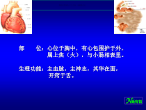 心和小肠医学宣教课件