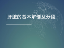 医学课件-肝脏的基本解剖及分段修改课件