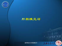 医学院见习-肝胆胰见习课件