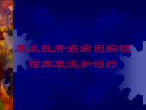 原发性肝癌病因病理临床表现和治疗培训课件