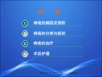 痔疮医疗护理专题知识宣教培训课件