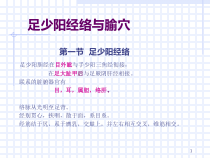 足少阳胆经医学课件