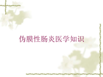 伪膜性肠炎医学知识培训课件