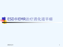 ESD和EMR治疗消化道早癌探素课件