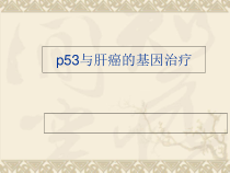 P53与肝癌的基因治疗教学课件