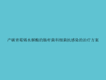 产碳青霉烯水解酶的肠杆菌科细菌抗感染的治疗方案课件