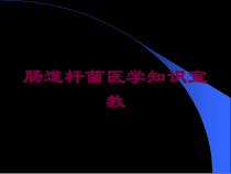 肠道杆菌医学知识宣教培训课件