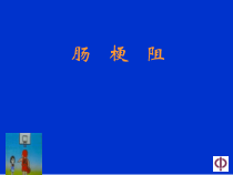肠梗阻诊断与治疗原则课件
