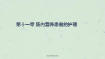 肠内营养患者的护理课件