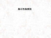 肠石性肠梗阻医学课件