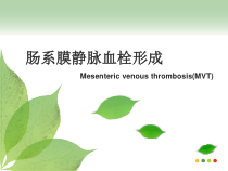 肠系膜静脉血栓形成医学课件