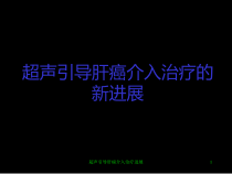 超声引导肝癌介入治疗进展课件