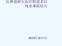 胆道镜联合输尿管硬镜气压弹道碎石治疗胆道术后残余结石课件