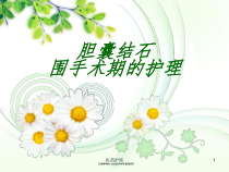胆囊结石围手术期护理医疗知识课件