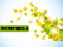低脂低胆固醇饮食医学课件
