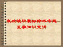 腹腔镜胆囊切除术专题医学知识宣讲培训课件