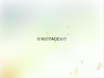 肝癌的TACE治疗讲课课件